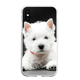 Чехол для iPhone XS Max матовый с принтом Вест-хайленд-уайт-терьер , Силикон | Область печати: задняя сторона чехла, без боковых панелей | вест хайленд уайт терьер | животное | порода | собака