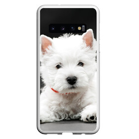 Чехол для Samsung Galaxy S10 с принтом Вест-хайленд-уайт-терьер , Силикон | Область печати: задняя сторона чехла, без боковых панелей | вест хайленд уайт терьер | животное | порода | собака