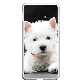 Чехол для Samsung S10E с принтом Вест-хайленд-уайт-терьер , Силикон | Область печати: задняя сторона чехла, без боковых панелей | вест хайленд уайт терьер | животное | порода | собака