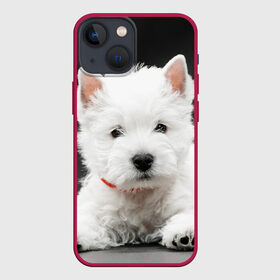 Чехол для iPhone 13 mini с принтом Вест хайленд уайт терьер ,  |  | вест хайленд уайт терьер | животное | порода | собака