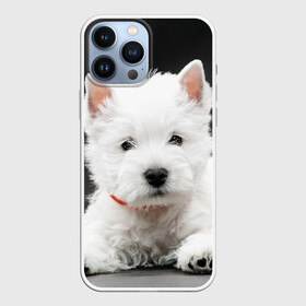 Чехол для iPhone 13 Pro Max с принтом Вест хайленд уайт терьер ,  |  | вест хайленд уайт терьер | животное | порода | собака
