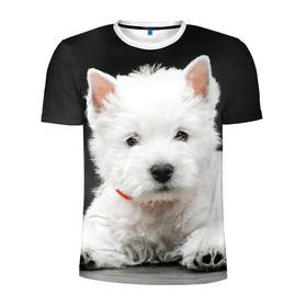 Мужская футболка 3D спортивная с принтом Вест-хайленд-уайт-терьер , 100% полиэстер с улучшенными характеристиками | приталенный силуэт, круглая горловина, широкие плечи, сужается к линии бедра | Тематика изображения на принте: вест хайленд уайт терьер | животное | порода | собака