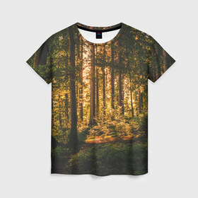 Женская футболка 3D с принтом Лес , 100% полиэфир ( синтетическое хлопкоподобное полотно) | прямой крой, круглый вырез горловины, длина до линии бедер | forest | nature | sky | tree | деревья | лес | листья | небо | природа | сосны