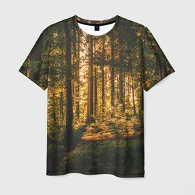 Мужская футболка 3D с принтом Лес , 100% полиэфир | прямой крой, круглый вырез горловины, длина до линии бедер | forest | nature | sky | tree | деревья | лес | листья | небо | природа | сосны