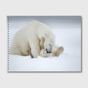 Альбом для рисования с принтом Идиллия , 100% бумага
 | матовая бумага, плотность 200 мг. | Тематика изображения на принте: айсберг | арктика | животные | лёд | медведи | природа | север | снег