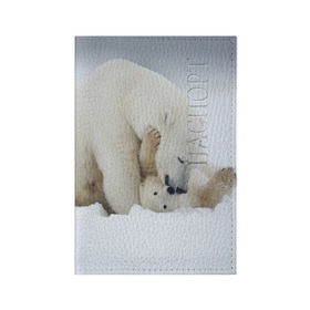 Обложка для паспорта матовая кожа с принтом Идиллия , натуральная матовая кожа | размер 19,3 х 13,7 см; прозрачные пластиковые крепления | айсберг | арктика | животные | лёд | медведи | природа | север | снег