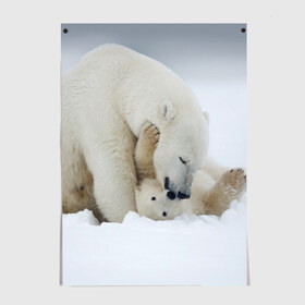 Постер с принтом Идиллия , 100% бумага
 | бумага, плотность 150 мг. Матовая, но за счет высокого коэффициента гладкости имеет небольшой блеск и дает на свету блики, но в отличии от глянцевой бумаги не покрыта лаком | айсберг | арктика | животные | лёд | медведи | природа | север | снег
