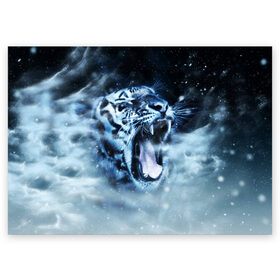 Поздравительная открытка с принтом Белый тигр , 100% бумага | плотность бумаги 280 г/м2, матовая, на обратной стороне линовка и место для марки
 | Тематика изображения на принте: зима | клыки | метель | пасть | снег | тигр | хищник