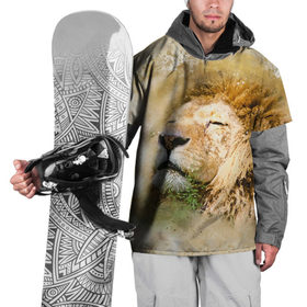 Накидка на куртку 3D с принтом Лев , 100% полиэстер |  | зверь | лев | тигр | хищник