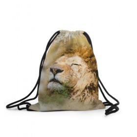 Рюкзак-мешок 3D с принтом Лев , 100% полиэстер | плотность ткани — 200 г/м2, размер — 35 х 45 см; лямки — толстые шнурки, застежка на шнуровке, без карманов и подкладки | зверь | лев | тигр | хищник