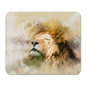 Коврик прямоугольный с принтом Лев , натуральный каучук | размер 230 х 185 мм; запечатка лицевой стороны | зверь | лев | тигр | хищник