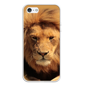 Чехол для iPhone 5/5S матовый с принтом Лев , Силикон | Область печати: задняя сторона чехла, без боковых панелей | животные | кошка | лев | тигр | хищник