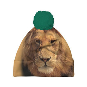 Шапка 3D c помпоном с принтом Лев , 100% полиэстер | универсальный размер, печать по всей поверхности изделия | животные | кошка | лев | тигр | хищник