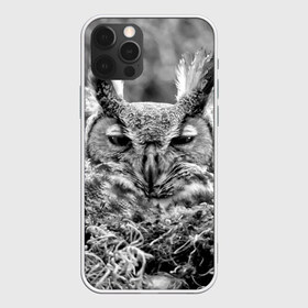 Чехол для iPhone 12 Pro Max с принтом Филин , Силикон |  | bird | nest | night | nocturnal | owl | predator | гнездо | ночной | птица | сова | филин | хищник