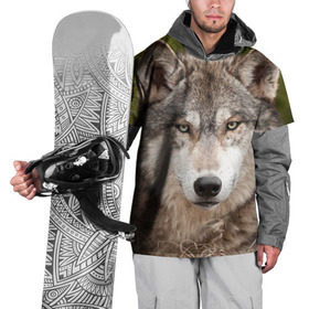 Накидка на куртку 3D с принтом Волк , 100% полиэстер |  | animal | eyes | forest | predator | wild | wolf | взгляд | волк | дикий | животное | зверь | лес | хищник