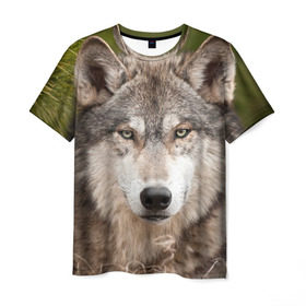Мужская футболка 3D с принтом Волк , 100% полиэфир | прямой крой, круглый вырез горловины, длина до линии бедер | animal | eyes | forest | predator | wild | wolf | взгляд | волк | дикий | животное | зверь | лес | хищник