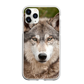 Чехол для iPhone 11 Pro матовый с принтом Волк , Силикон |  | animal | eyes | forest | predator | wild | wolf | взгляд | волк | дикий | животное | зверь | лес | хищник