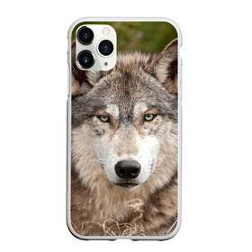 Чехол для iPhone 11 Pro Max матовый с принтом Волк , Силикон |  | Тематика изображения на принте: animal | eyes | forest | predator | wild | wolf | взгляд | волк | дикий | животное | зверь | лес | хищник