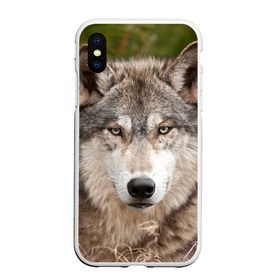 Чехол для iPhone XS Max матовый с принтом Волк , Силикон | Область печати: задняя сторона чехла, без боковых панелей | animal | eyes | forest | predator | wild | wolf | взгляд | волк | дикий | животное | зверь | лес | хищник