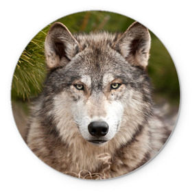 Коврик круглый с принтом Волк , резина и полиэстер | круглая форма, изображение наносится на всю лицевую часть | animal | eyes | forest | predator | wild | wolf | взгляд | волк | дикий | животное | зверь | лес | хищник
