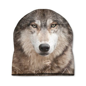 Шапка 3D с принтом Волк , 100% полиэстер | универсальный размер, печать по всей поверхности изделия | Тематика изображения на принте: animal | eyes | forest | predator | wild | wolf | взгляд | волк | дикий | животное | зверь | лес | хищник