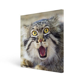 Холст квадратный с принтом Дикий кот , 100% ПВХ |  | animal | cat | eyes | jaws | predator | teeth | wild | взгляд | дикий | животное | клыки | кот | пасть | хищник