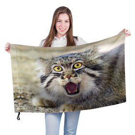 Флаг 3D с принтом Дикий кот , 100% полиэстер | плотность ткани — 95 г/м2, размер — 67 х 109 см. Принт наносится с одной стороны | animal | cat | eyes | jaws | predator | teeth | wild | взгляд | дикий | животное | клыки | кот | пасть | хищник