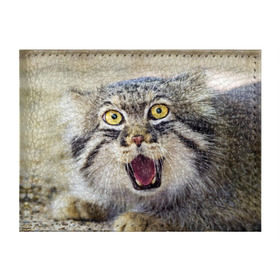 Обложка для студенческого билета с принтом Дикий кот , натуральная кожа | Размер: 11*8 см; Печать на всей внешней стороне | animal | cat | eyes | jaws | predator | teeth | wild | взгляд | дикий | животное | клыки | кот | пасть | хищник