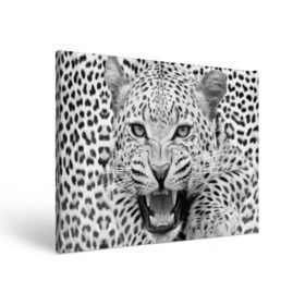 Холст прямоугольный с принтом Леопард , 100% ПВХ |  | animal | eyes | jaws | leopard | malicious | predator | spotted | teeth | wild | взгляд | дикий | животное | злой | клыки | леопард | оскал | пасть | пятнистый | хищник