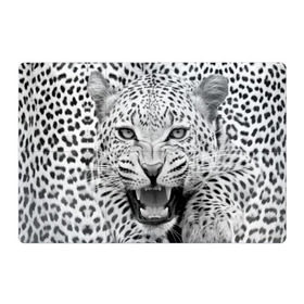 Магнитный плакат 3Х2 с принтом Леопард , Полимерный материал с магнитным слоем | 6 деталей размером 9*9 см | animal | eyes | jaws | leopard | malicious | predator | spotted | teeth | wild | взгляд | дикий | животное | злой | клыки | леопард | оскал | пасть | пятнистый | хищник