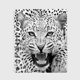 Тетрадь с принтом Леопард , 100% бумага | 48 листов, плотность листов — 60 г/м2, плотность картонной обложки — 250 г/м2. Листы скреплены сбоку удобной пружинной спиралью. Уголки страниц и обложки скругленные. Цвет линий — светло-серый
 | animal | eyes | jaws | leopard | malicious | predator | spotted | teeth | wild | взгляд | дикий | животное | злой | клыки | леопард | оскал | пасть | пятнистый | хищник