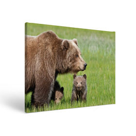 Холст прямоугольный с принтом Медведи , 100% ПВХ |  | animals | bears | children | family | green | meadow | mother | predators | дети | животные | зеленая | мама | медведи | поляна | семья | хищники