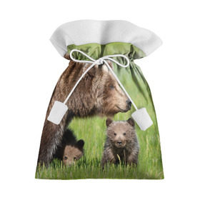 Подарочный 3D мешок с принтом Медведи , 100% полиэстер | Размер: 29*39 см | Тематика изображения на принте: animals | bears | children | family | green | meadow | mother | predators | дети | животные | зеленая | мама | медведи | поляна | семья | хищники