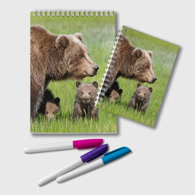 Блокнот с принтом Медведи , 100% бумага | 48 листов, плотность листов — 60 г/м2, плотность картонной обложки — 250 г/м2. Листы скреплены удобной пружинной спиралью. Цвет линий — светло-серый
 | Тематика изображения на принте: animals | bears | children | family | green | meadow | mother | predators | дети | животные | зеленая | мама | медведи | поляна | семья | хищники