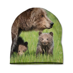 Шапка 3D с принтом Медведи , 100% полиэстер | универсальный размер, печать по всей поверхности изделия | animals | bears | children | family | green | meadow | mother | predators | дети | животные | зеленая | мама | медведи | поляна | семья | хищники
