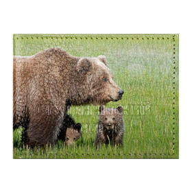 Обложка для студенческого билета с принтом Медведи , натуральная кожа | Размер: 11*8 см; Печать на всей внешней стороне | Тематика изображения на принте: animals | bears | children | family | green | meadow | mother | predators | дети | животные | зеленая | мама | медведи | поляна | семья | хищники