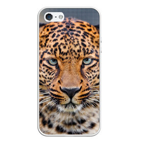 Чехол для iPhone 5/5S матовый с принтом Леопард , Силикон | Область печати: задняя сторона чехла, без боковых панелей | animal | leopard | look | predator | spotted | wild | взгляд | дикий | животное | леопард | пятнистый | хищник