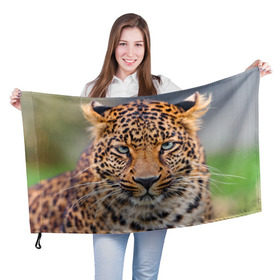 Флаг 3D с принтом Леопард , 100% полиэстер | плотность ткани — 95 г/м2, размер — 67 х 109 см. Принт наносится с одной стороны | animal | leopard | look | predator | spotted | wild | взгляд | дикий | животное | леопард | пятнистый | хищник