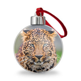 Ёлочный шар с принтом Леопард , Пластик | Диаметр: 77 мм | animal | leopard | look | predator | spotted | wild | взгляд | дикий | животное | леопард | пятнистый | хищник