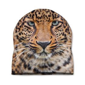 Шапка 3D с принтом Леопард , 100% полиэстер | универсальный размер, печать по всей поверхности изделия | animal | leopard | look | predator | spotted | wild | взгляд | дикий | животное | леопард | пятнистый | хищник