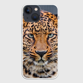 Чехол для iPhone 13 mini с принтом Леопард ,  |  | animal | leopard | look | predator | spotted | wild | взгляд | дикий | животное | леопард | пятнистый | хищник