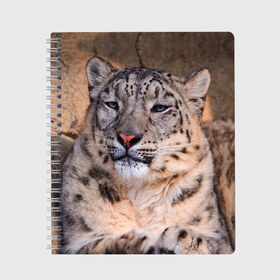 Тетрадь с принтом Леопард , 100% бумага | 48 листов, плотность листов — 60 г/м2, плотность картонной обложки — 250 г/м2. Листы скреплены сбоку удобной пружинной спиралью. Уголки страниц и обложки скругленные. Цвет линий — светло-серый
 | animal | leopard | look | predator | spotted | wild | взгляд | дикий | животное | леопард | пятнистый | хищник