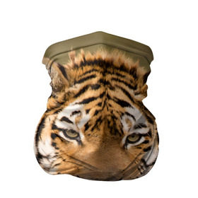 Бандана-труба 3D с принтом Тигр , 100% полиэстер, ткань с особыми свойствами — Activecool | плотность 150‒180 г/м2; хорошо тянется, но сохраняет форму | animal | predator | striped | tiger | view | wild | взгляд | дикий | животное | полосатый | тигр | хищник