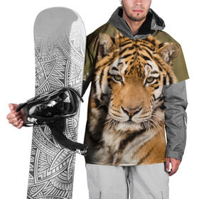 Накидка на куртку 3D с принтом Тигр , 100% полиэстер |  | Тематика изображения на принте: animal | predator | striped | tiger | view | wild | взгляд | дикий | животное | полосатый | тигр | хищник