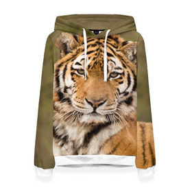 Женская толстовка 3D с принтом Тигр , 100% полиэстер  | двухслойный капюшон со шнурком для регулировки, мягкие манжеты на рукавах и по низу толстовки, спереди карман-кенгуру с мягким внутренним слоем. | animal | predator | striped | tiger | view | wild | взгляд | дикий | животное | полосатый | тигр | хищник