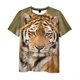 Мужская футболка 3D с принтом Тигр , 100% полиэфир | прямой крой, круглый вырез горловины, длина до линии бедер | animal | predator | striped | tiger | view | wild | взгляд | дикий | животное | полосатый | тигр | хищник