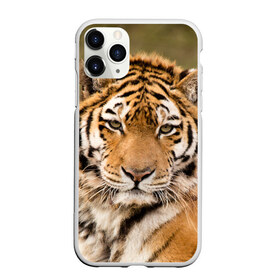 Чехол для iPhone 11 Pro матовый с принтом Тигр , Силикон |  | animal | predator | striped | tiger | view | wild | взгляд | дикий | животное | полосатый | тигр | хищник