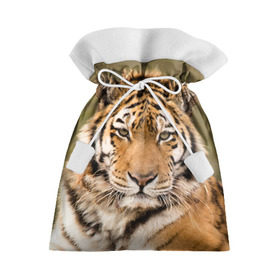 Подарочный 3D мешок с принтом Тигр , 100% полиэстер | Размер: 29*39 см | animal | predator | striped | tiger | view | wild | взгляд | дикий | животное | полосатый | тигр | хищник