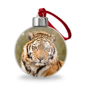 Ёлочный шар с принтом Тигр , Пластик | Диаметр: 77 мм | animal | predator | striped | tiger | view | wild | взгляд | дикий | животное | полосатый | тигр | хищник