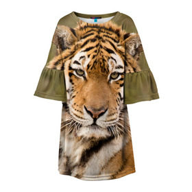 Детское платье 3D с принтом Тигр , 100% полиэстер | прямой силуэт, чуть расширенный к низу. Круглая горловина, на рукавах — воланы | Тематика изображения на принте: animal | predator | striped | tiger | view | wild | взгляд | дикий | животное | полосатый | тигр | хищник